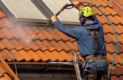 Démoussage et hydrofuge de toiture à Bonson